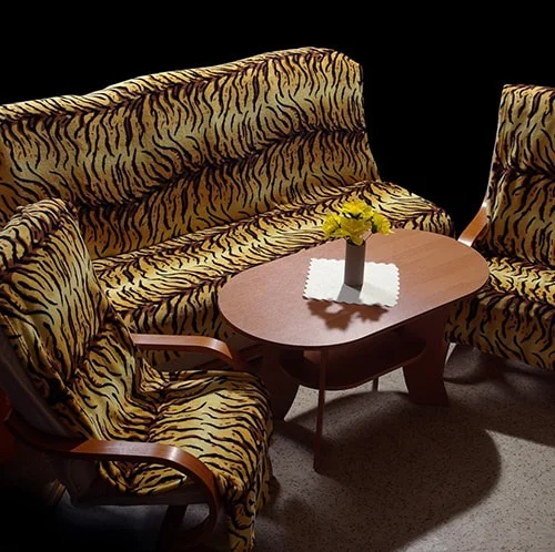 Prikryvka na sedacku - tiger